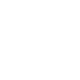 Pedido de internação domiciliar (home care)