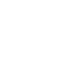 Cirurgia bariátrica e reparadora