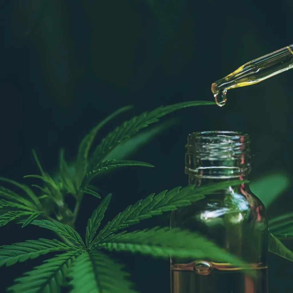 Conta-gotas pingando óleo de canabidiol sobre folhas de cannabis